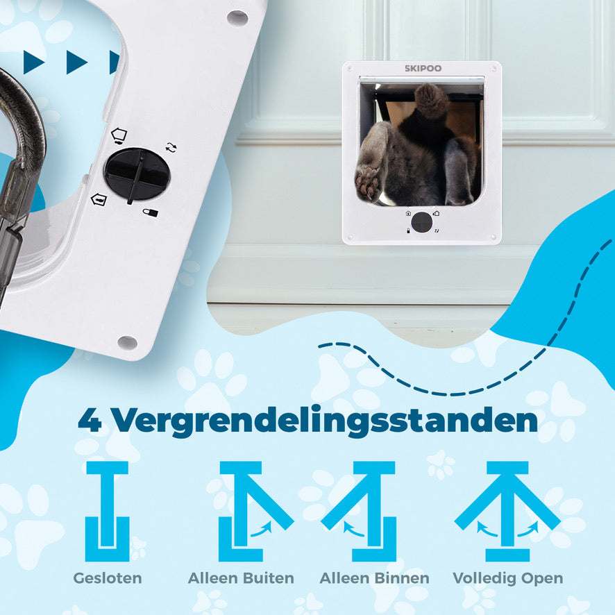 {{ kattenluik }} - {{ skipoo }}